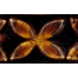 Aventurine - 16oz Amaco Potters Choice Cone 5 Glaze Aventurine - 16oz Amaco Potters Choice Cone 5 Glaze